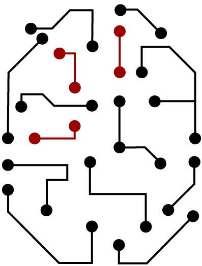 brain-circuit